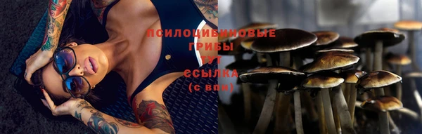 СК Заволжск