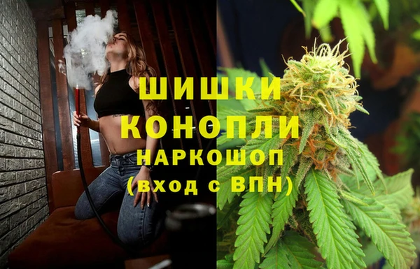 эйфоретик Заводоуковск